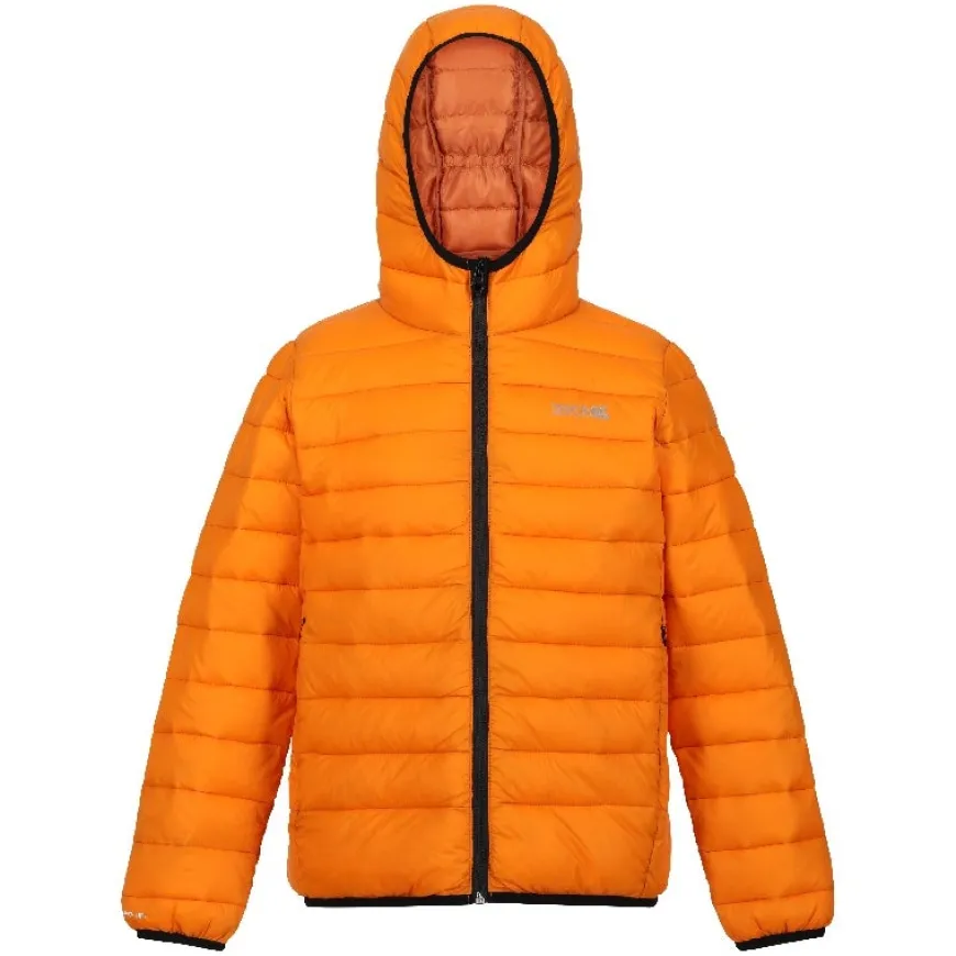 Chaquetas Regatta JnrHoodedMarizion