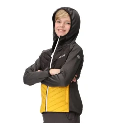 Chaquetas Regatta Kielder HybridVII