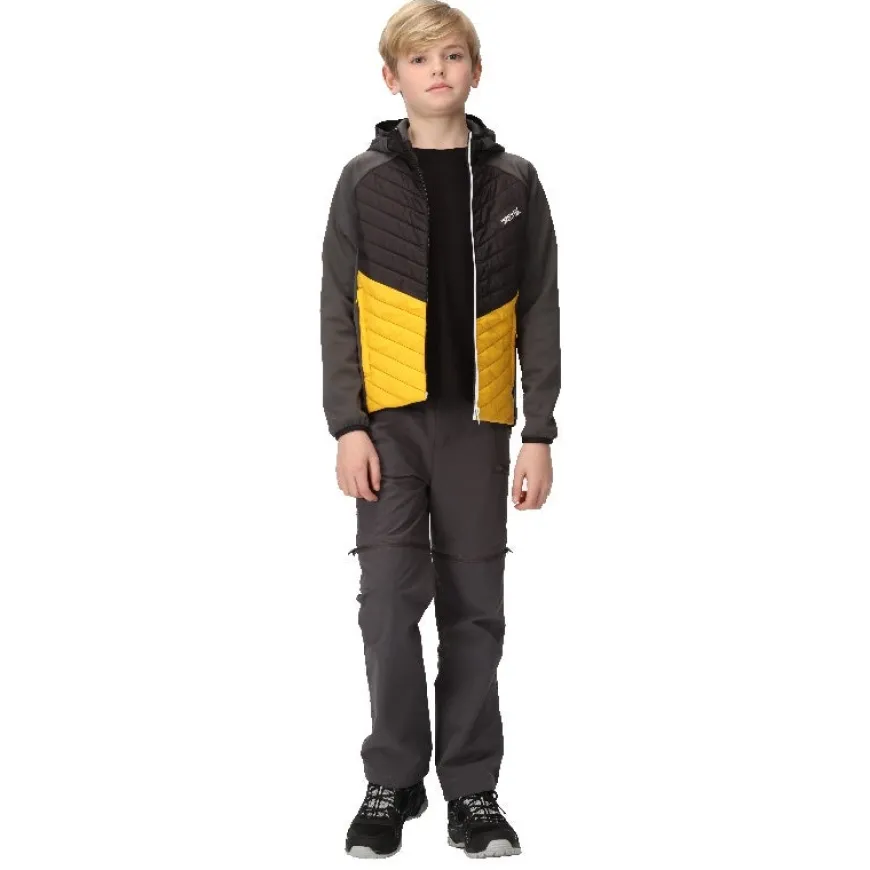 Chaquetas Regatta Kielder HybridVII
