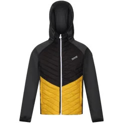 Chaquetas Regatta Kielder HybridVII