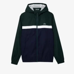 Chándals Lacoste Survetement