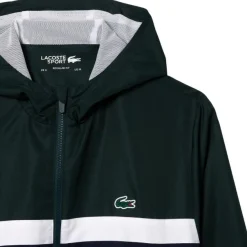 Chándals Lacoste Survetement