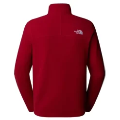 Forros polares The north face M 100 Glacier 1 4 Zip - Eu