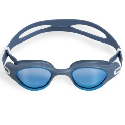 Gafas Arena Gafas The One Plus Mirror