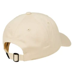 Gorras y sombreros Element Icon Dad Cap Twill