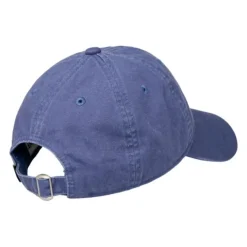 Gorras y sombreros Element Lowcase Dad Cap