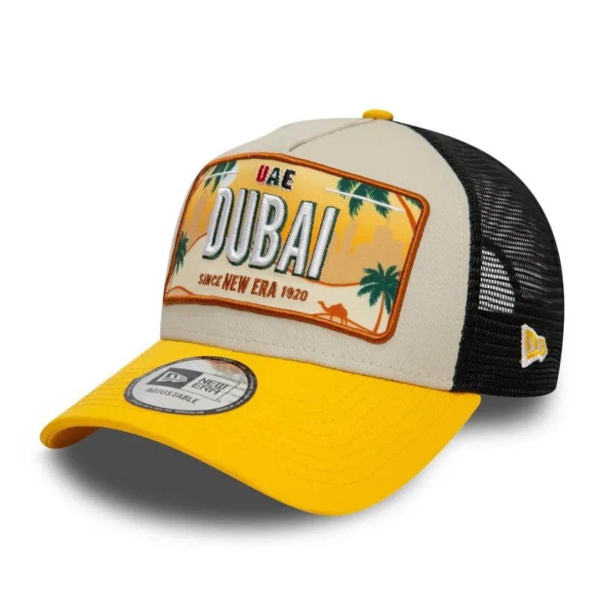Gorras y sombreros New era Licence Plate Trucker New Era Stngry