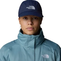 Gorra The north face Horizon Hat