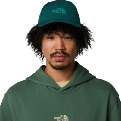 Gorra The north face Recycled 66 Classic Hat