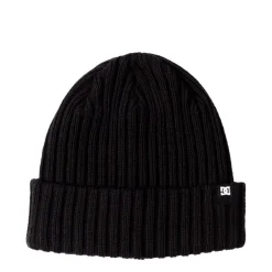 Gorros Dc shoes Fish N Destroy 2