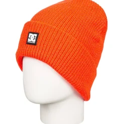 Gorros Dc shoes Sight Beanie Hdwr Nkr0