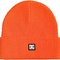 Gorros Dc shoes Sight Beanie Hdwr Nkr0