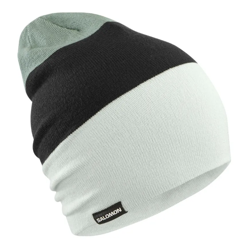 Gorros Salomon Flatspin Reversible Beani