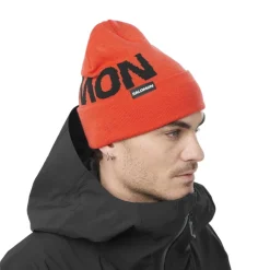 Gorros Salomon Hermitage Beanie