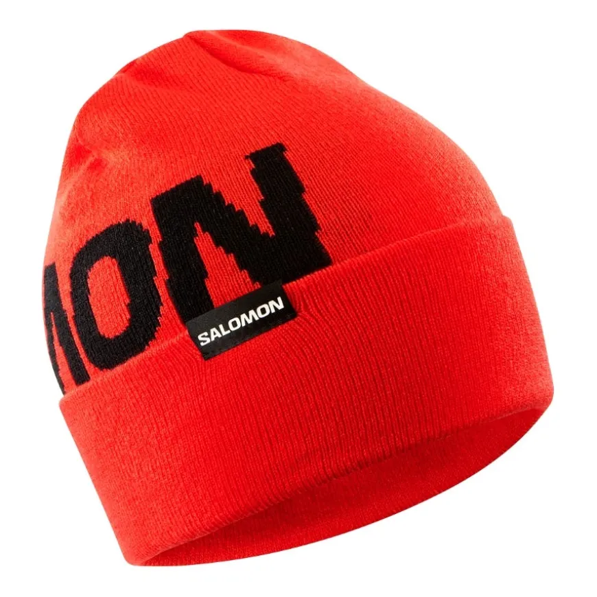 Gorros Salomon Hermitage Beanie