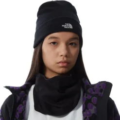 Gorros The north face Norm Beanie
