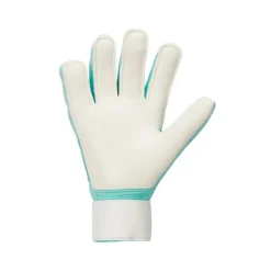 Guantes Nike Nk Gk Match - Ho23