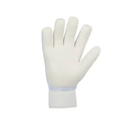 Guantes Nike Nk Gk Match - Ho24