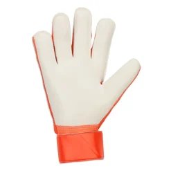 Guantes Nike Nk Gk Match - Ho24