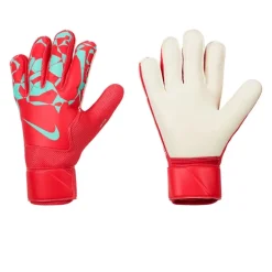 Guantes Nike Nk Gk Match - Ho24