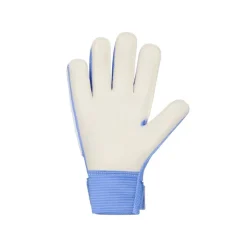 Guantes Nike Nk Gk Match Jr - Ho24
