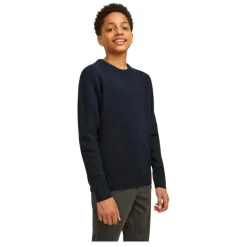 Jerseys Jack & jones Jorollie Knit Crew Neck Jnr