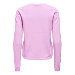 Jerseys Only Onlloyal Life Ls V-Neck Pullo Knt Noos