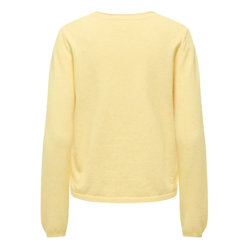 Jerseys Only Onlloyal Life Ls V-Neck Pullo Knt Noos
