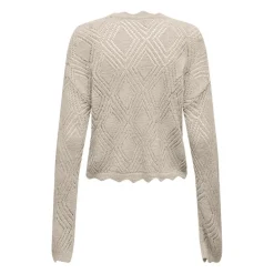 Jerseys Only Onlpamela Ls Struct Pullover Cc Knt