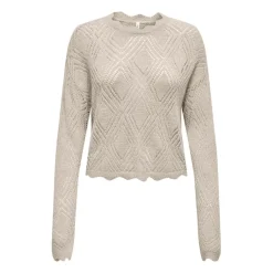 Jerseys Only Onlpamela Ls Struct Pullover Cc Knt