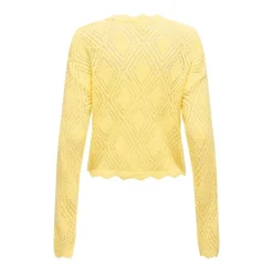 Jerseys Only Onlpamela Ls Struct Pullover Cc Knt