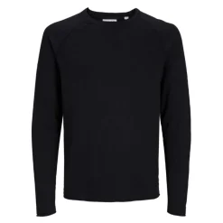 Jerseys Jack & jones Jjebreeze Knit Crew Neck Sn
