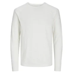 Jerseys Jack & jones Jjebreeze Knit Crew Neck Sn