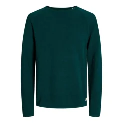 Jerseys Jack & jones Jjehill Knit Crew Neck Noos