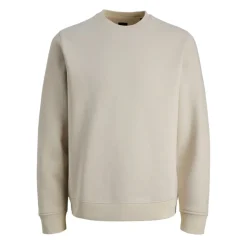 Jerseys Jack & jones Jprblaethan Logo Crewneck Sweat Sn