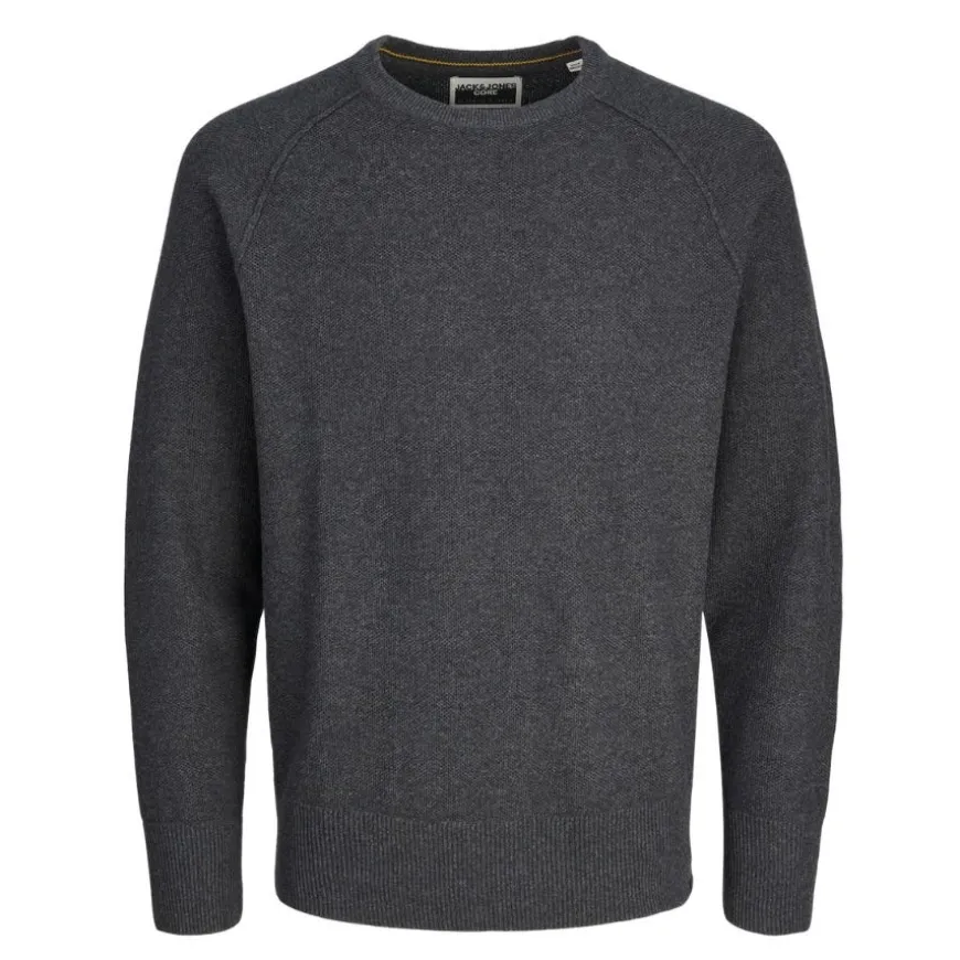 Jerseys Jack & jones plus Jcomason Knit Crew Neck Pls