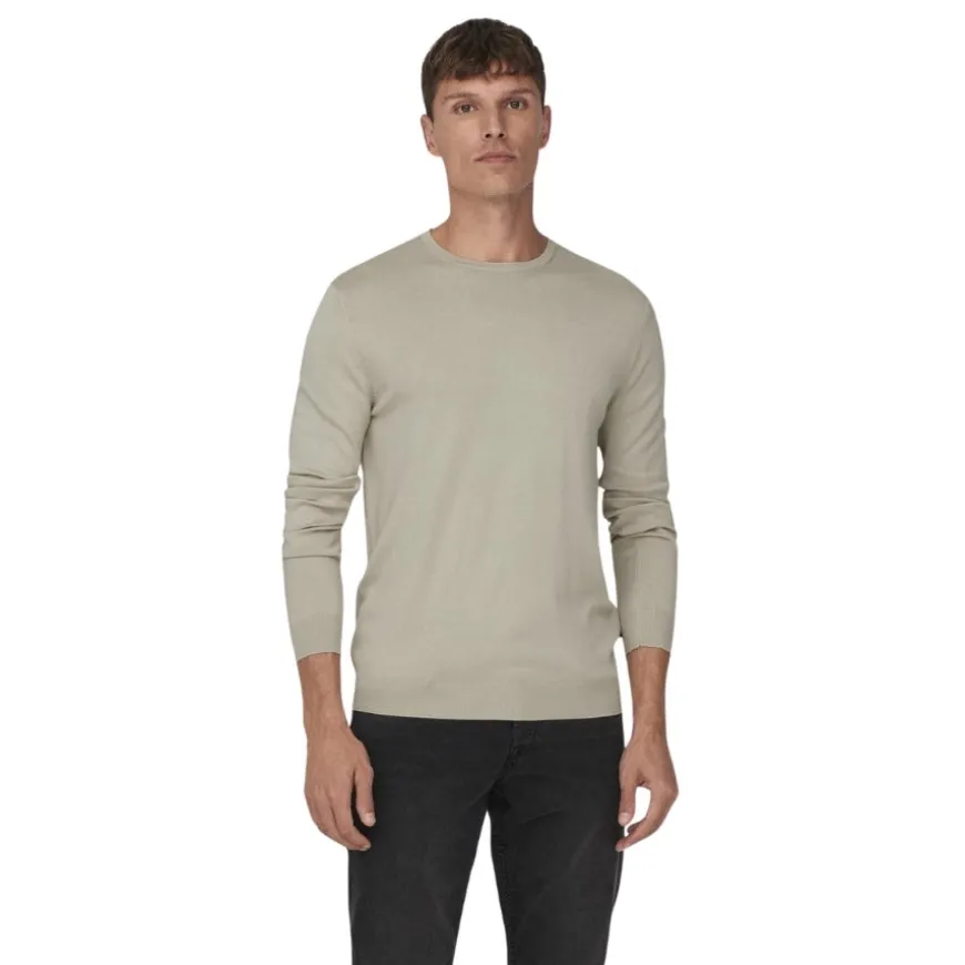 Jerseys Only & sons Onswyler Life Reg 14 Ls Crew Knit Noos