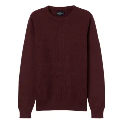 Jerseys Tiffosi Bair