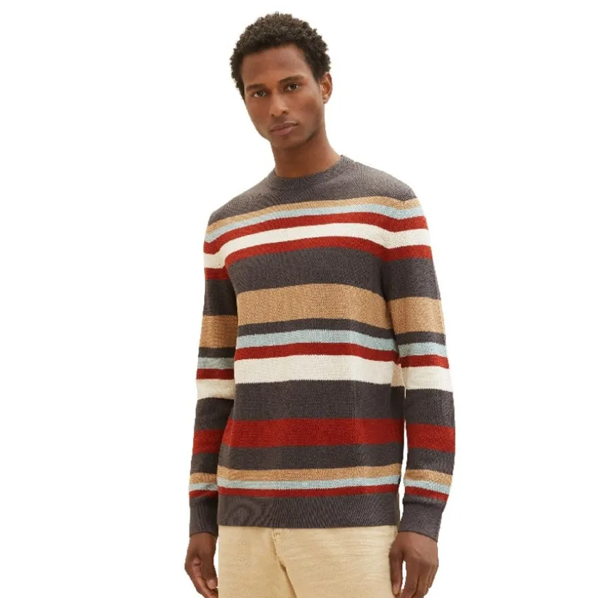 Jerseys Tom tailor Striped Crewneck Knit