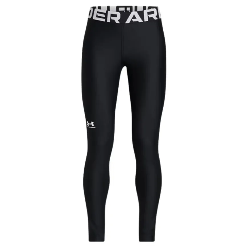 Mallas largas Under armour Hg Legging