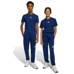 Pantalones chándal Adidas J Bl Ft Pt 280