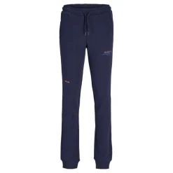 Pantalones chándal Jack & jones Jpstgreat B2S Logo Sweat Pants Jnr