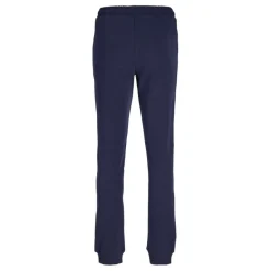 Pantalones chándal Jack & jones Jpstgreat B2S Logo Sweat Pants Jnr