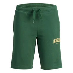 Pantalones cortos Jack & jones Jpstjosh Sweat Shorts Amt Jnr