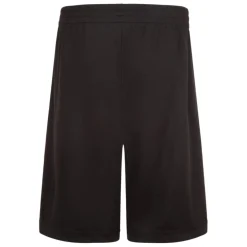 Pantalones cortos Jordan Noos Jordan Vert Mesh Short