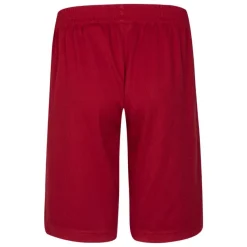 Pantalones cortos Jordan Noos Jordan Vert Mesh Short