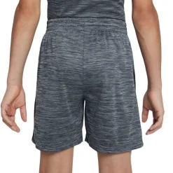 Pantalones cortos Nike B Nk Df Multi Short Lbr Hthr