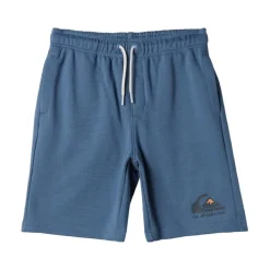 Pantalones cortos Quiksilver Easy Day Jogger Short Youth