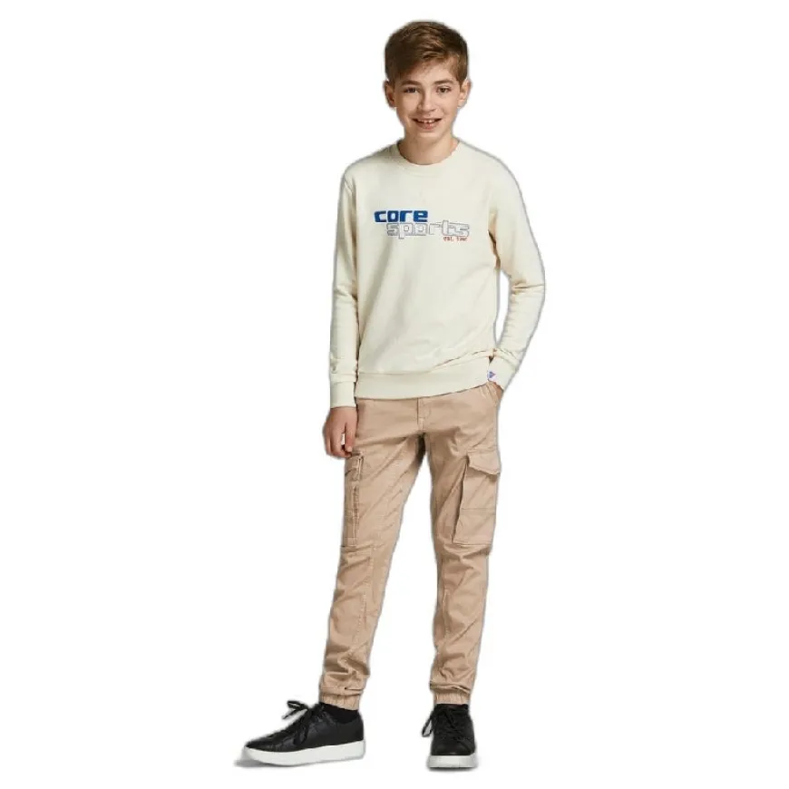 Pantalones largos Jack & jones Jpstpaul Jjflake 1075 Crockey Noos Jnr