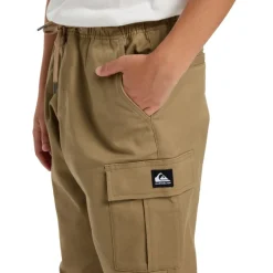 Pantalones largos Quiksilver Taxer Cargo Pant Youth